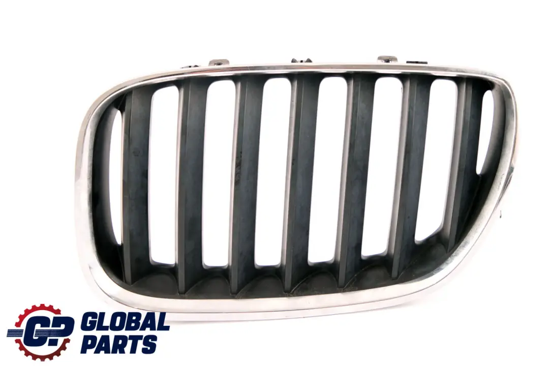 Ziergitter Grille Abdeckung Lufteintritt Vorne Links für BMW X5 er E53 mit Teilenummer 7113733 BMW X5 er E53 Ziergitter Grille Abdeckung Lufteintritt Vorne Links - SKU 7113733 - Teilenummer 7113733