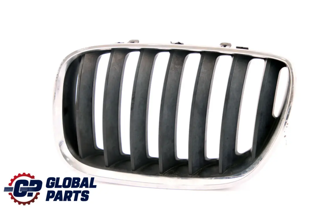 Ziergitter Grille Abdeckung Lufteintritt Vorne Links für BMW X5 er E53 mit Teilenummer 7113733 BMW X5 er E53 Ziergitter Grille Abdeckung Lufteintritt Vorne Links - SKU 7113733 - Teilenummer 7113733