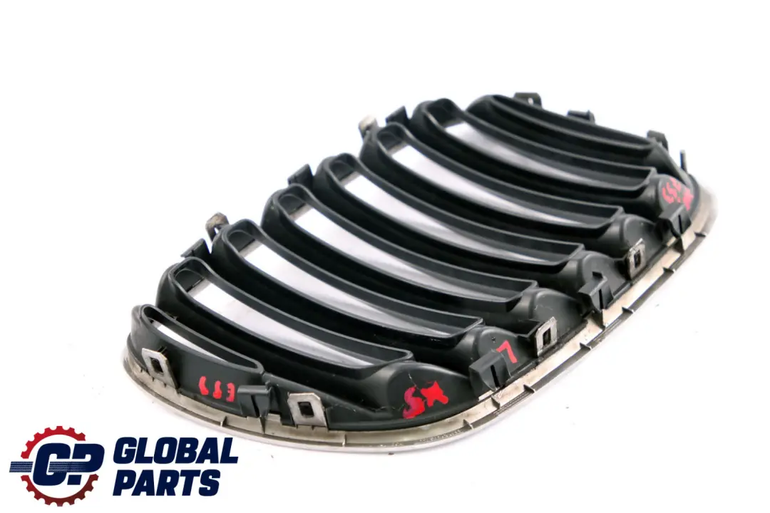 Ziergitter Grille Abdeckung Lufteintritt Vorne Links für BMW X5 er E53 mit Teilenummer 7113733 BMW X5 er E53 Ziergitter Grille Abdeckung Lufteintritt Vorne Links - SKU 7113733 - Teilenummer 7113733