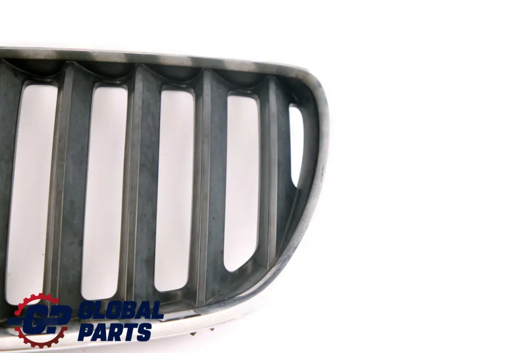 Grille Air Inlet Left N/S to BMW X5 Series E53 with Part number 7113733 BMW X5 Series E53 Grille Air Inlet Left N/S - SKU 7113733 - Part number 7113733