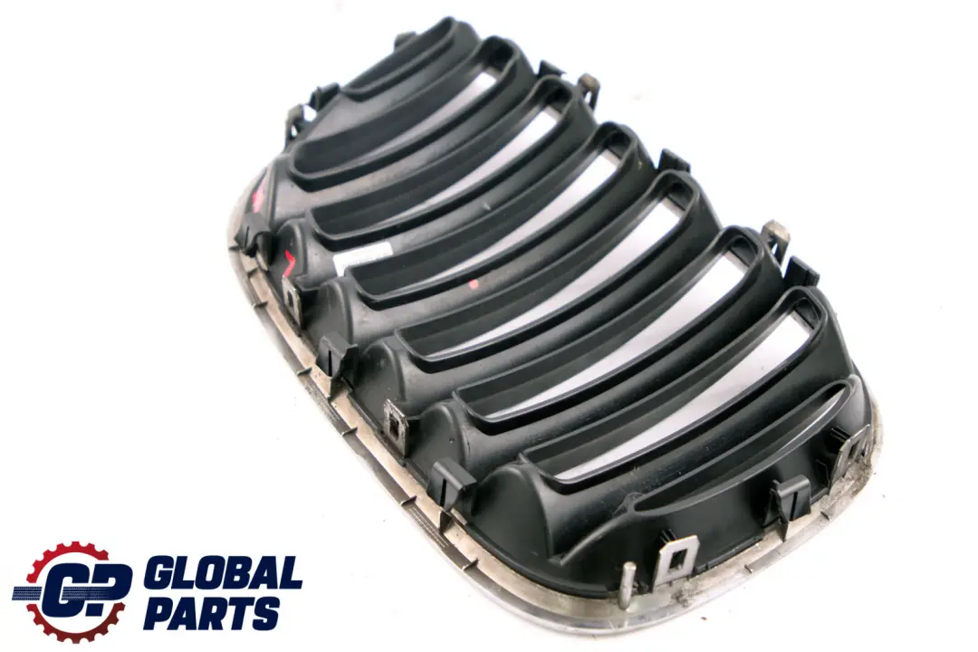 BMW X5 Series E53 Grille Air Inlet Left N/S - SKU 7113733 - Part number 7113733