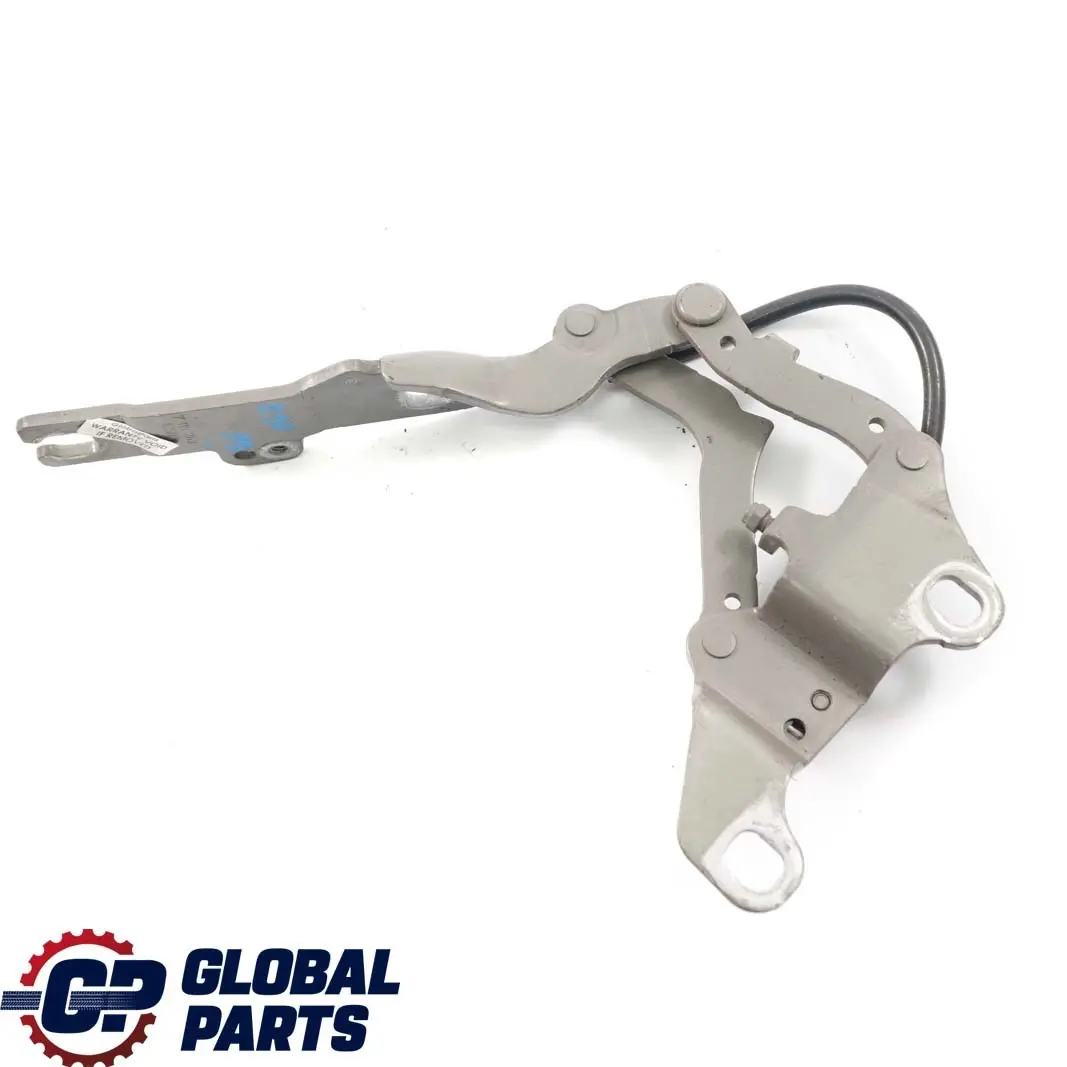 Delantera Izquierda Motor Capó Bisagra Platinbronze Bronce A53 para BMW 3 E90 E92 E93 con número de pieza 7115263 BMW 3 E90 E92 E93 Delantera Izquierda Motor Capó Bisagra Platinbronze Bronce A53 - SKU 7115263-PB - Número de pieza 7115263