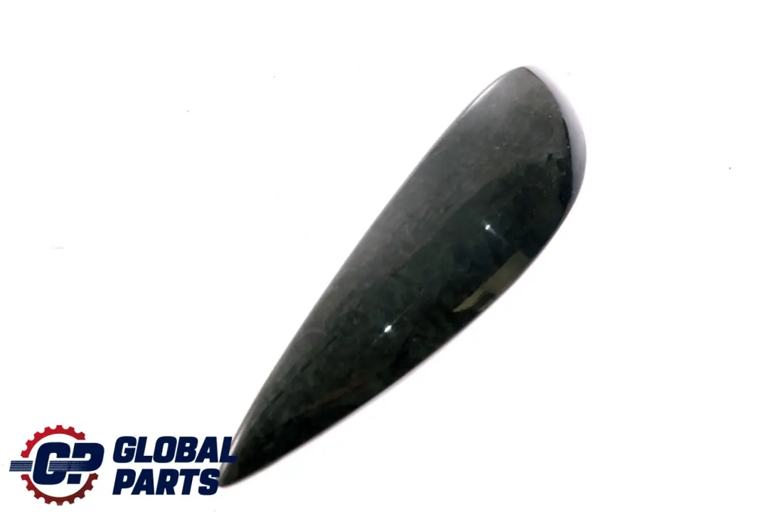 BMW 6 Series E63 E64 Decorative Strip Trim Front Left N/S Birke Gray - SKU 7116053 - Part number 7116053