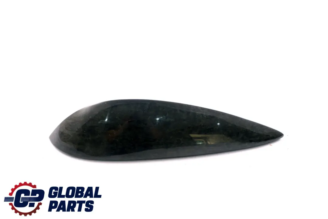 BMW 6 Series E63 E64 Decorative Strip Trim Front Left N/S Birke Gray - SKU 7116053 - Part number 7116053