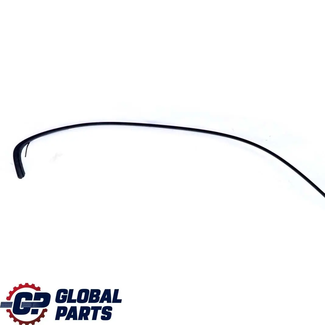 BMW E90 Modanatura Telaio Laterale Posteriore Destra Nero Opaco 7117244