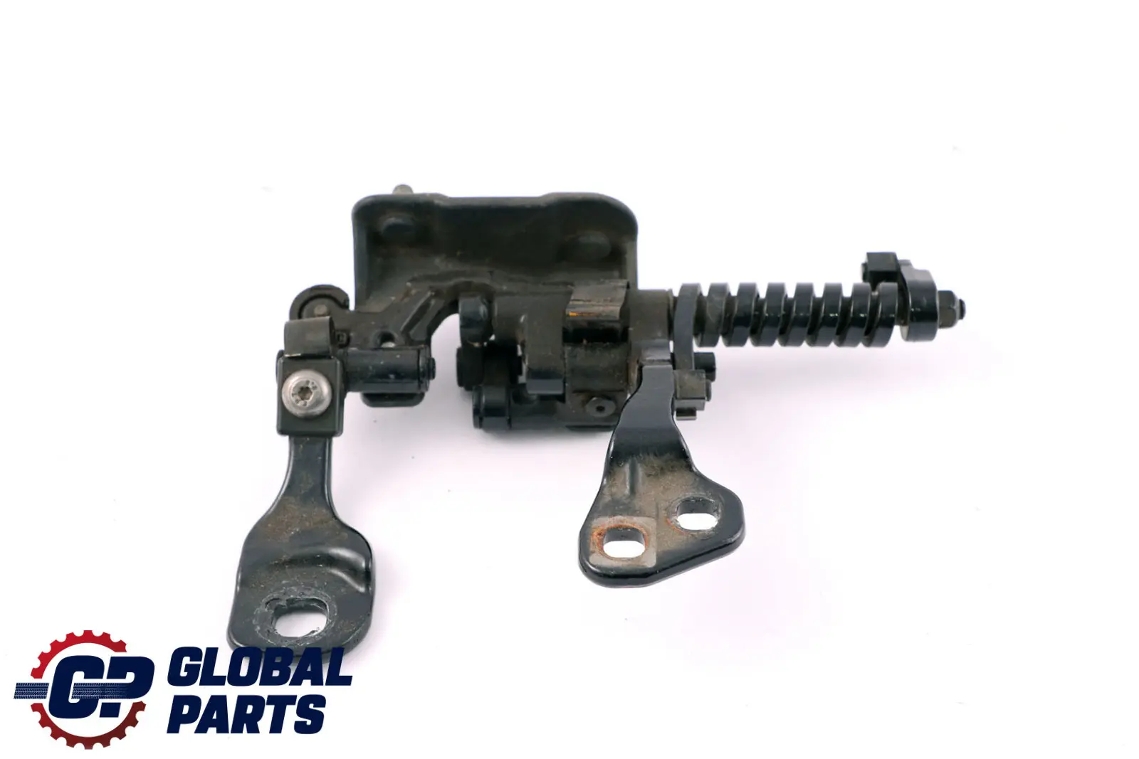 BMW E91 LCI Portabagagli posteriore sinistra Cerniera Carbonschwarz 416