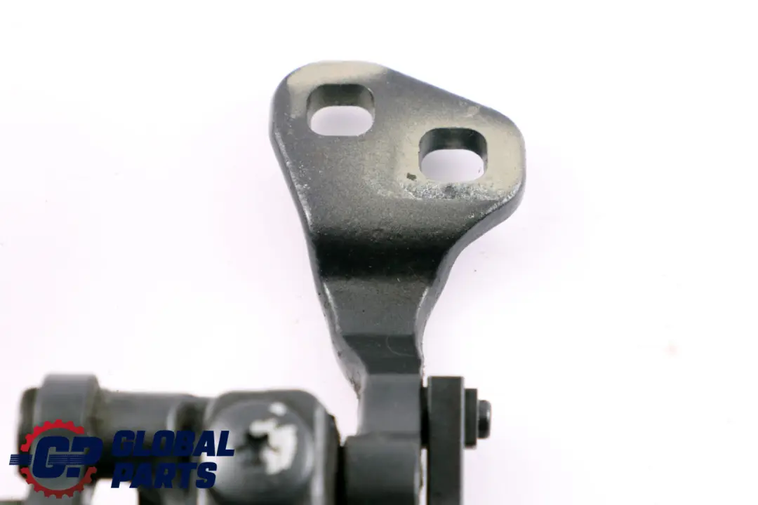 Portabagagli posteriore sinistro Cerniera Grafite scintillante A22 per BMW E91 con numero di parte 7119041 BMW E91 Portabagagli posteriore sinistro Cerniera Grafite scintillante A22 - SKU 7119041-SG - Numero di parte 7119041