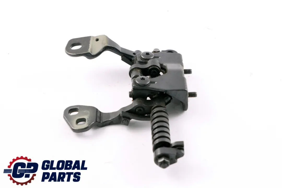 Cardine Portellone Destra Frizzante Grafite Metallizzato per BMW E91 con numero di parte 7119042 BMW E91 Cardine Portellone Destra Frizzante Grafite Metallizzato - SKU 7119042-SG - Numero di parte 7119042