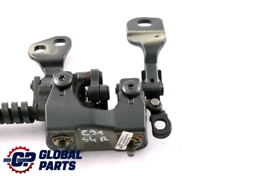 Cardine Portellone Destra Frizzante Grafite Metallizzato per BMW E91 con numero di parte 7119042 BMW E91 Cardine Portellone Destra Frizzante Grafite Metallizzato - SKU 7119042-SG - Numero di parte 7119042