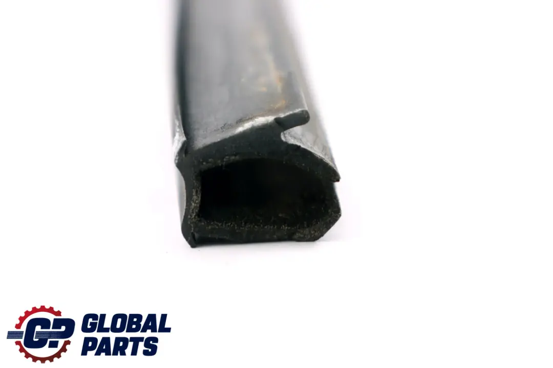 E93N Guía Ventana Puerta Delantera Derecha para BMW E92 E92N E93 con número de pieza 7119068 BMW E92 E92N E93 E93N Guía Ventana Puerta Delantera Derecha - SKU 7119068 - Número de pieza 7119068