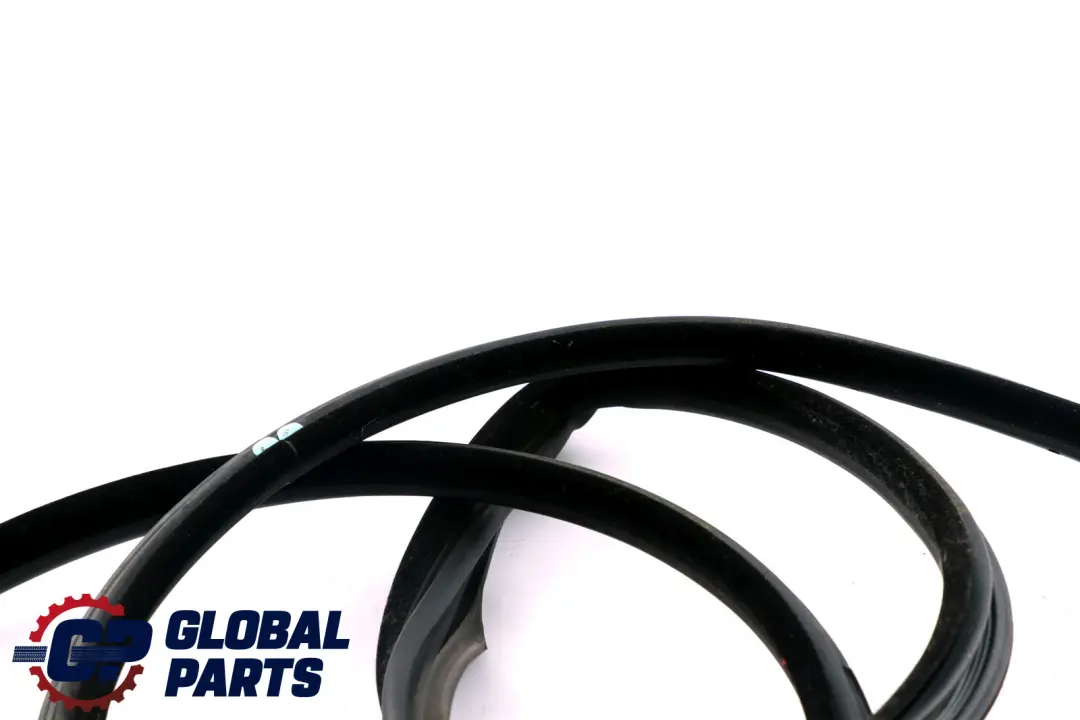BMW E92 Kantenschutz Türdichtung Türdichtungsmanschette Dichtung Links Vorne - SKU 7119091 - Teilenummer 7119091