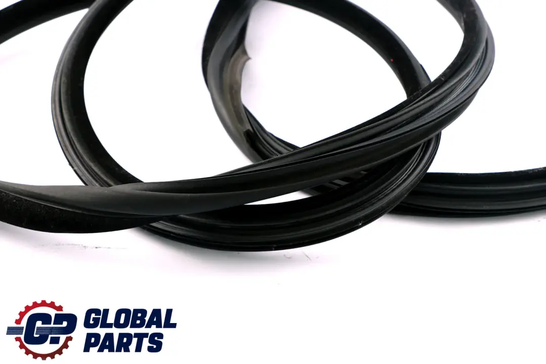 BMW E92 Kantenschutz Türdichtung Türdichtungsmanschette Dichtung Links Vorne - SKU 7119091 - Teilenummer 7119091
