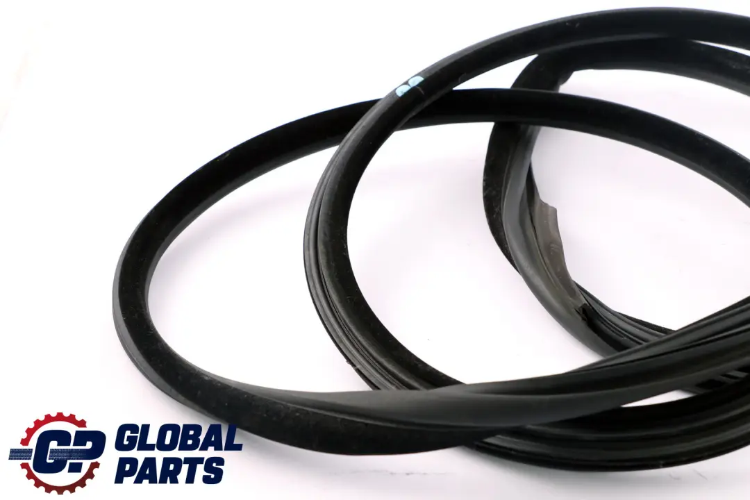 BMW E92 Kantenschutz Türdichtung Türdichtungsmanschette Dichtung Links Vorne - SKU 7119091 - Teilenummer 7119091