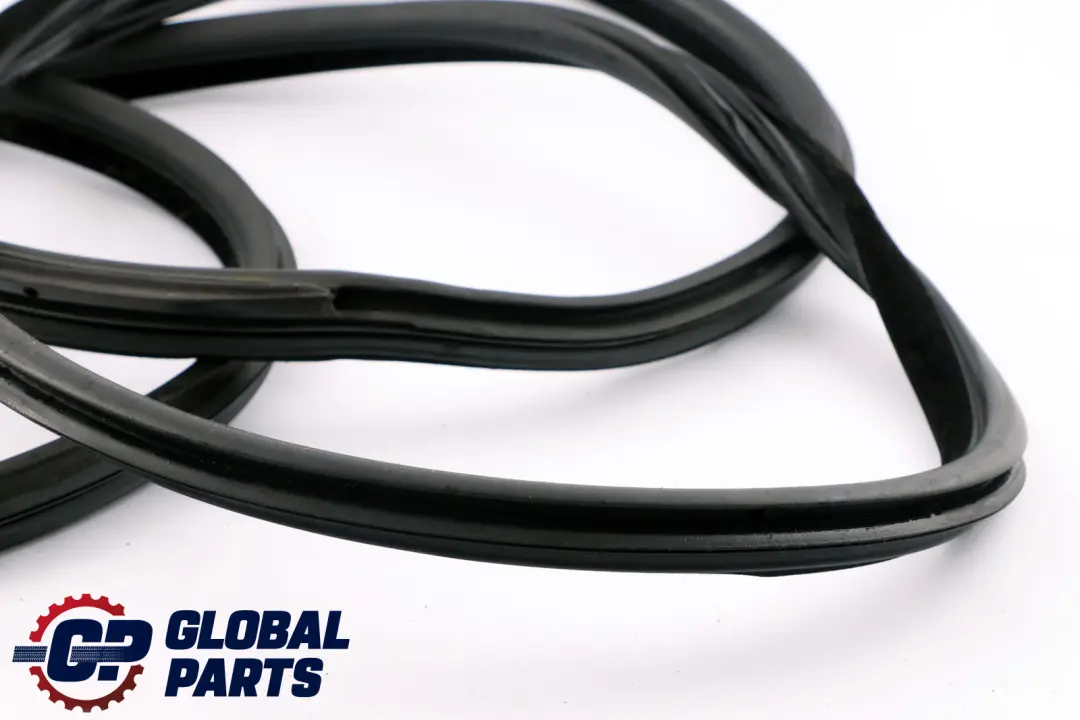 BMW E92 E92N LCI Paraspigoli Guarnizione Portiera Anteriore Destro - SKU 7119092 - Numero di parte 7119092