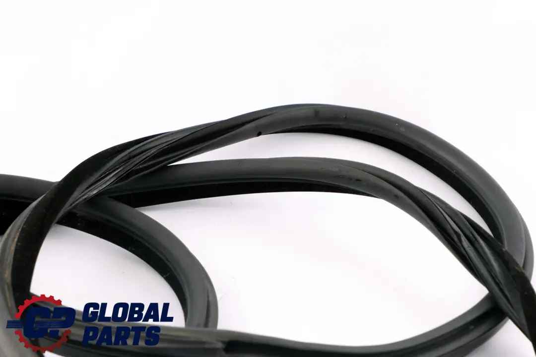 BMW E92 E92N LCI Paraspigoli Guarnizione Portiera Anteriore Destro - SKU 7119092 - Numero di parte 7119092