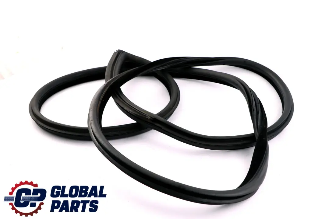 BMW E92 E92N LCI Paraspigoli Guarnizione Portiera Anteriore Destro - SKU 7119092 - Numero di parte 7119092
