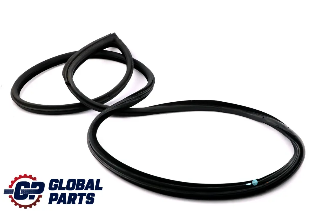 BMW E92 E92N LCI Paraspigoli Guarnizione Portiera Anteriore Destro - SKU 7119092 - Numero di parte 7119092