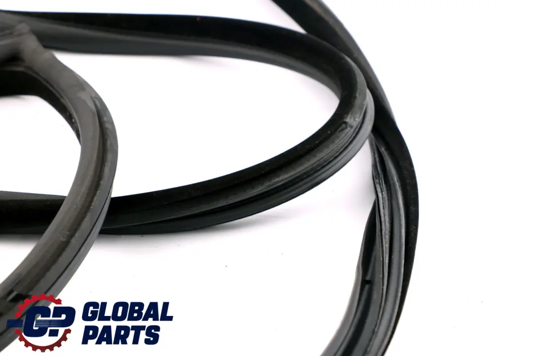BMW E92 E92N LCI Paraspigoli Guarnizione Portiera Anteriore Destro - SKU 7119092 - Numero di parte 7119092
