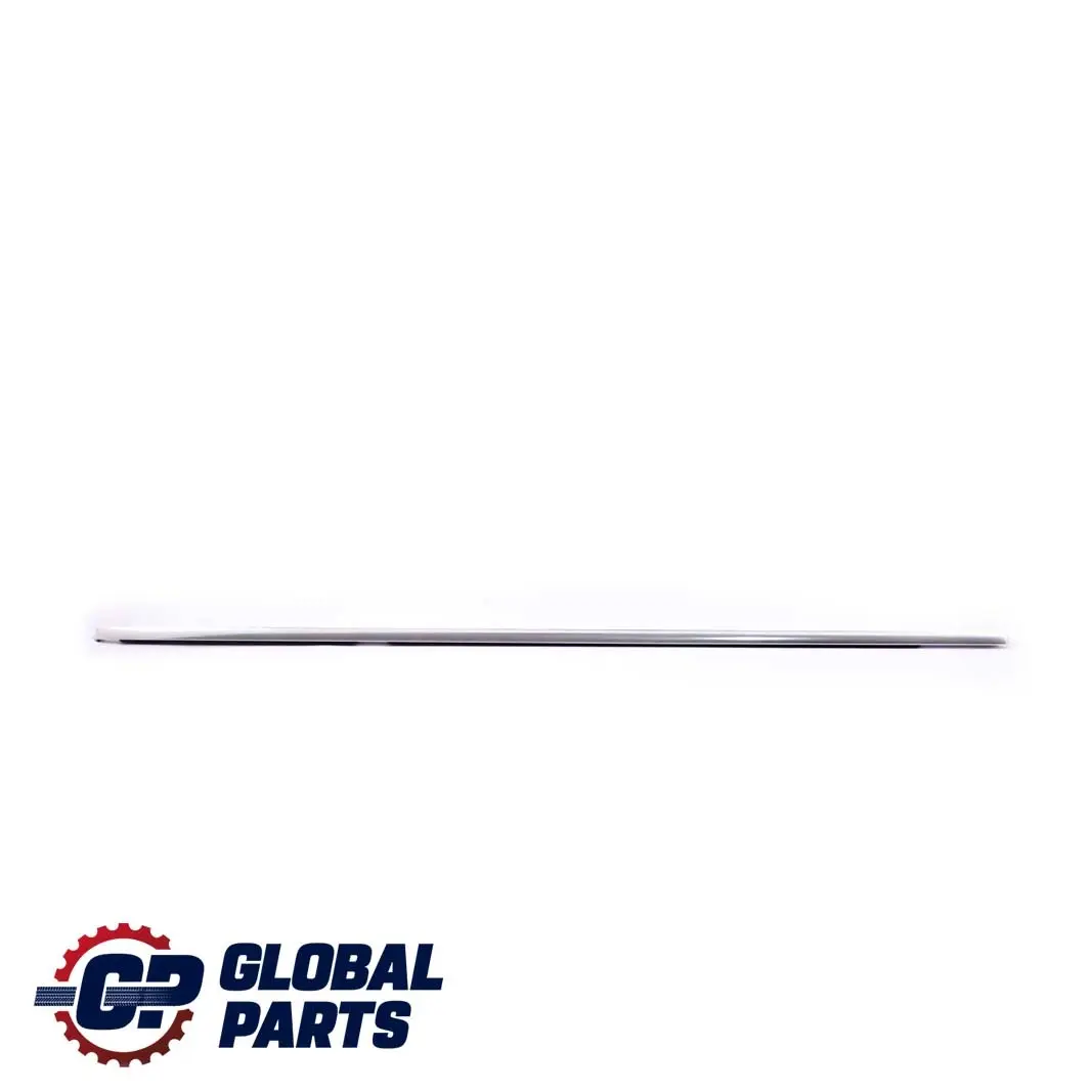 BMW E90 Door Weatherstrip Outer Trim Strip Rear Left N/S Chrome 7119215
