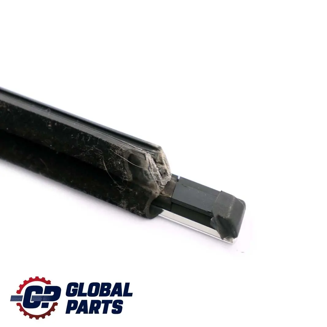 BMW E90 Door Weatherstrip Outer Trim Strip Rear Left N/S Chrome - SKU 7119215 - Part number 7119215