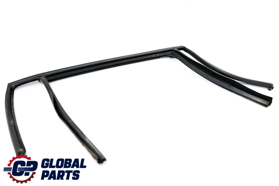 Fensterführung Tür Hinten Rechts 5134 für BMW 3 er E91 mit Teilenummer 7119970 BMW 3 er E91 Fensterführung Tür Hinten Rechts 5134 - SKU 7119970 - Teilenummer 7119970