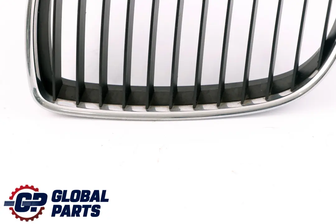 Ziergitter Chromrahmen vorne links für BMW 3 er E90 E91 mit Teilenummer 7120007 BMW 3 er E90 E91 Ziergitter Chromrahmen vorne links - SKU 7120007 - Teilenummer 7120007