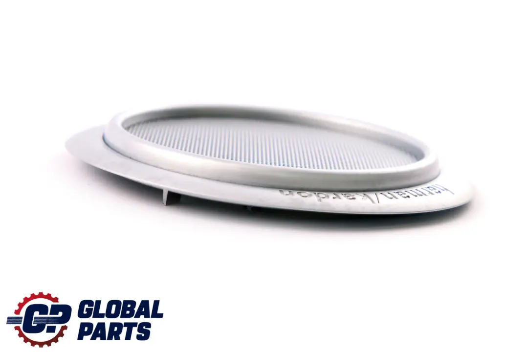 Mini Cooper R50 R53 Garniture Porte Haut-Parleur Droit Grille Chromée Mate - SKU 7120174 - Numéro de pièce 7120174