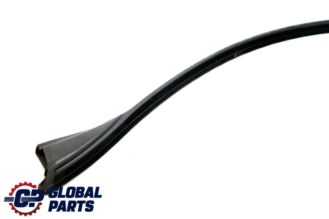 BMW X5 E70 Chiusura Ermetica T?rfuge Porta Frontale Sopra SX 7225271 - SKU 7120807 - Numero di parte 7120807