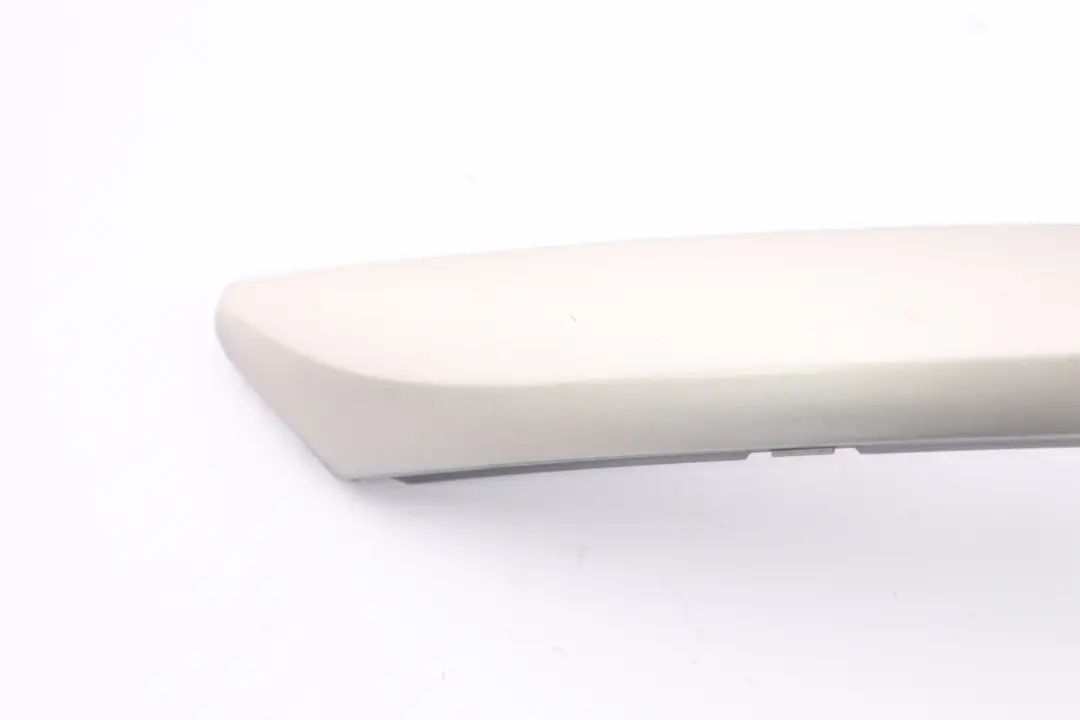BMW X5 E53 Puerta Interior Panel Cubierta Trasera Izquierda Titan Plata 8262813 - SKU 7122431 - Número de pieza 7122431