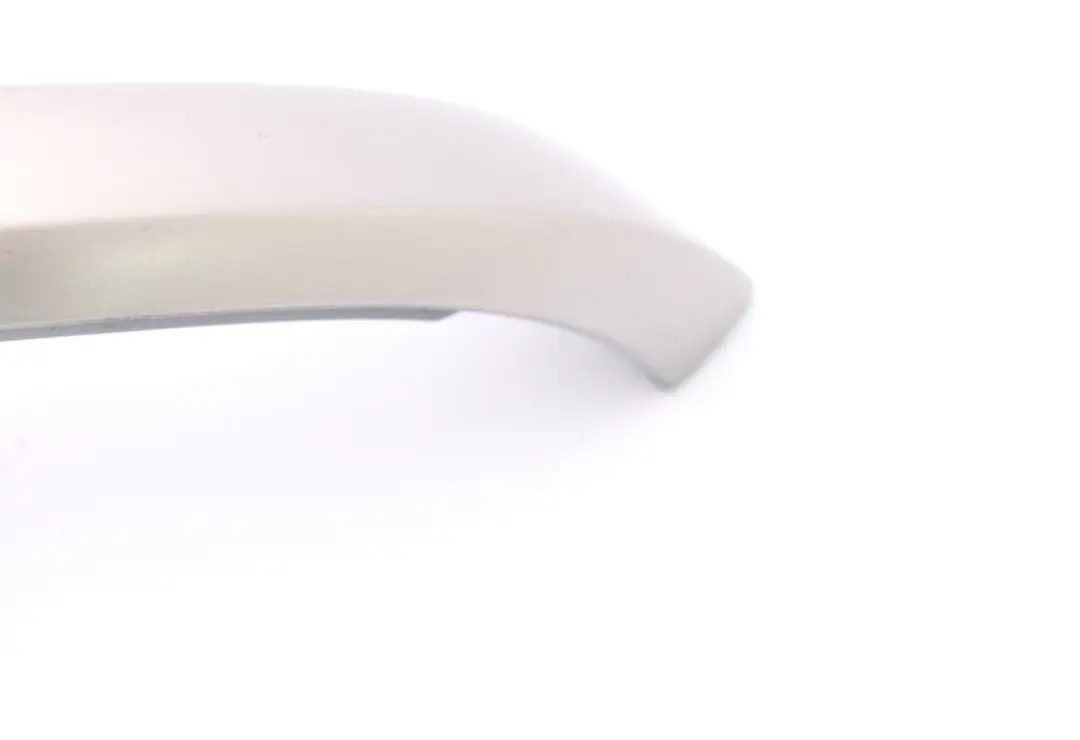 Couverture Arriere Gauche Titan Argent 8262813 pour BMW X5 E53 à propos du numéro de pièce 7122431 BMW X5 E53 Couverture Arriere Gauche Titan Argent 8262813 - SKU 7122431 - Numéro de pièce 7122431