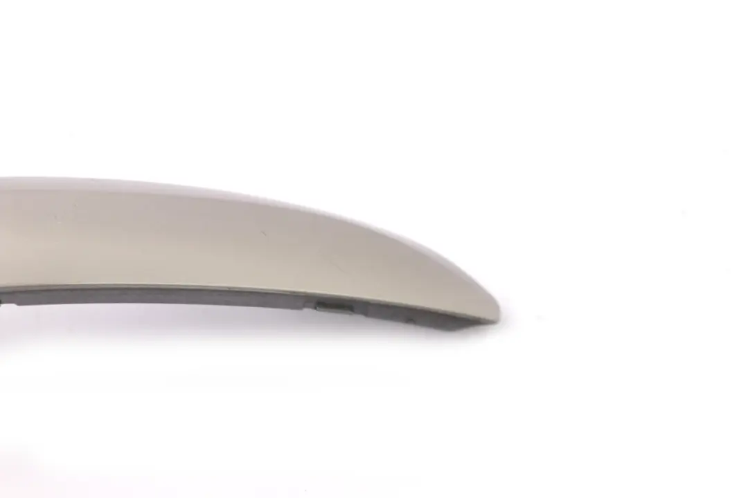 BMW X5 E53 Puerta Interior Panel Cubierta Trasera Izquierda Titan Plata 8262813 - SKU 7122431 - Número de pieza 7122431