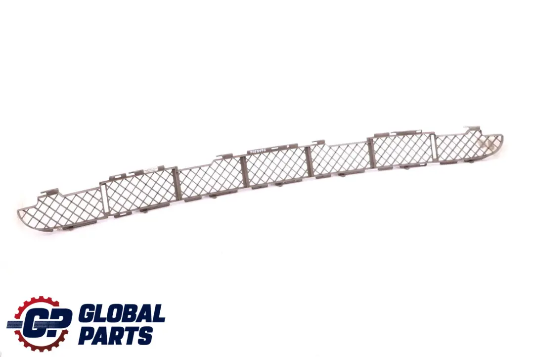 BMW X5 Series E53 Grid Bottom Front Bumper Lower Grill Titan 8269744 - SKU 7123956 - Part number 7123956