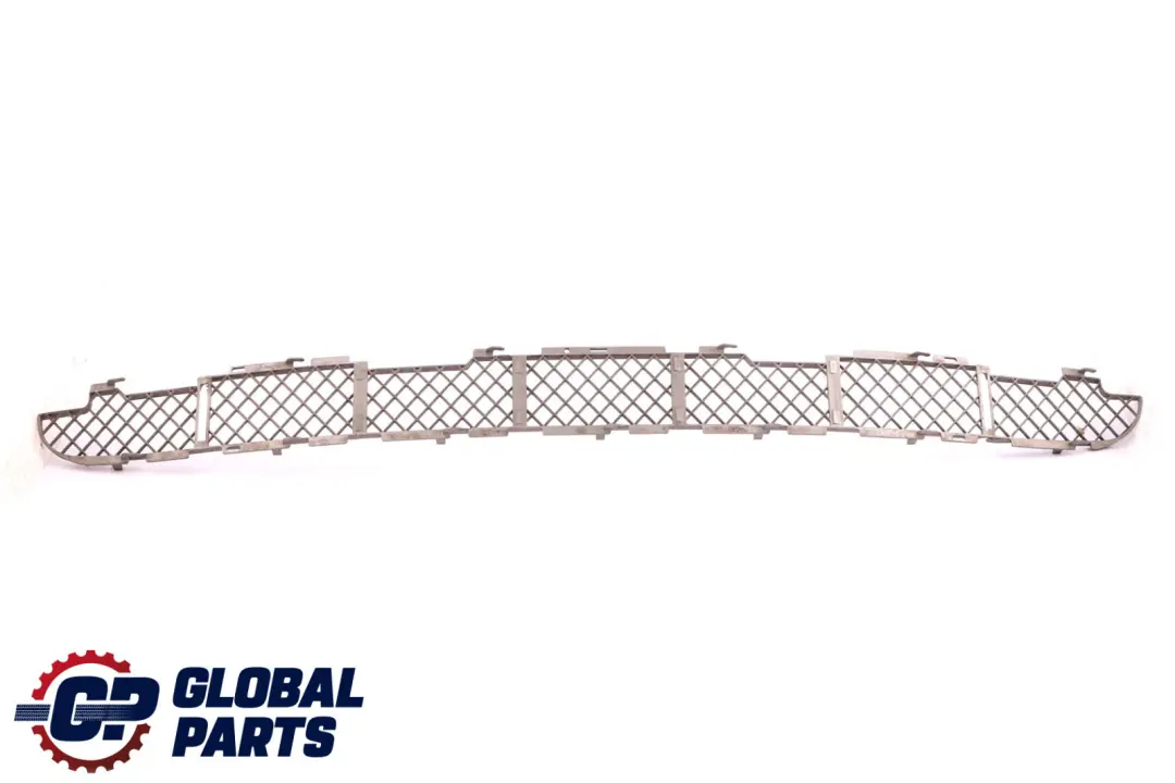 BMW X5 Series E53 Grid Bottom Front Bumper Lower Grill Titan 8269744 - SKU 7123956 - Part number 7123956