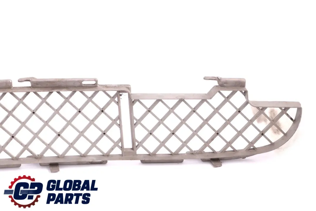 Grata Sotto Paraurti Davanti Titan 8269744 per BMW X5 E53 con numero di parte 7123956 BMW X5 E53 Grata Sotto Paraurti Davanti Titan 8269744 - SKU 7123956 - Numero di parte 7123956