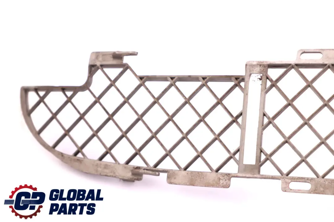 BMW X5 Series E53 Grid Bottom Front Bumper Lower Grill Titan 8269744 - SKU 7123956 - Part number 7123956