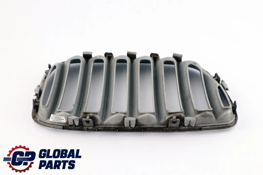 Front Bumper Titan 2 Silver Grille Kidney Left N/S to BMW X5 Series E53 with Part number 7124815 BMW X5 Series E53 Front Bumper Titan 2 Silver Grille Kidney Left N/S - SKU 7124815 - Part number 7124815