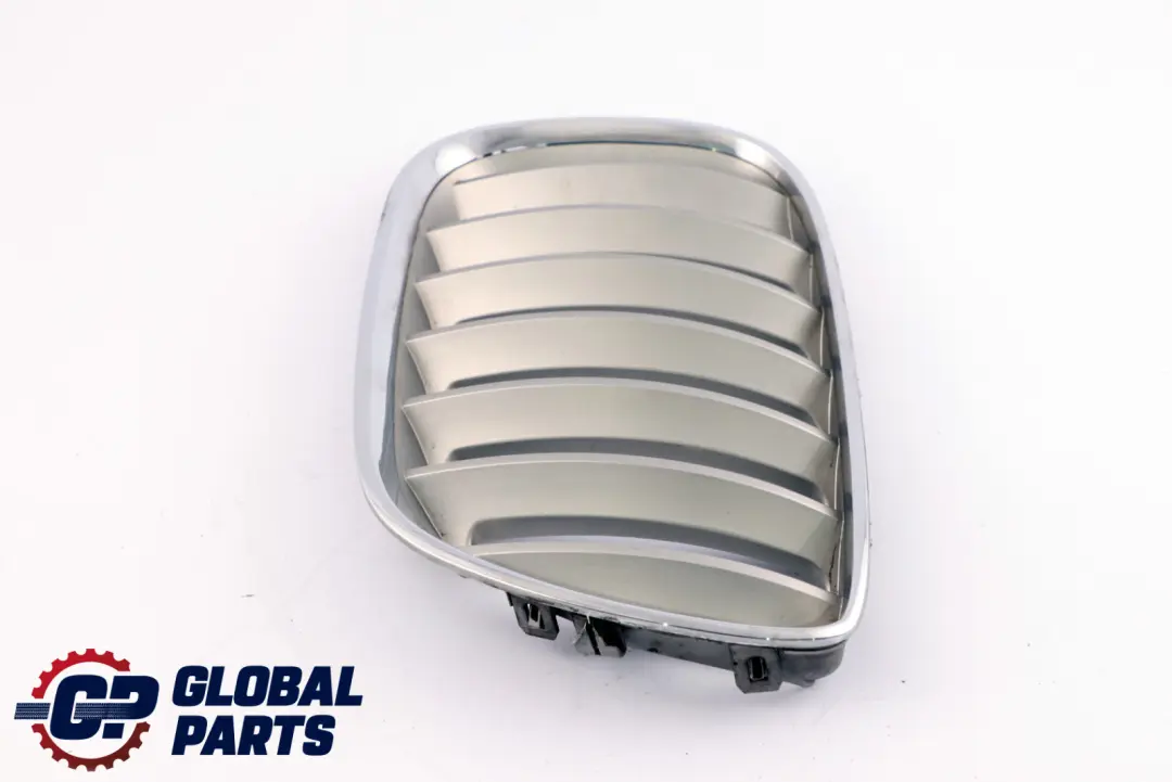 Front Bumper Titan 2 Silver Grille Kidney Left N/S to BMW X5 Series E53 with Part number 7124815 BMW X5 Series E53 Front Bumper Titan 2 Silver Grille Kidney Left N/S - SKU 7124815 - Part number 7124815