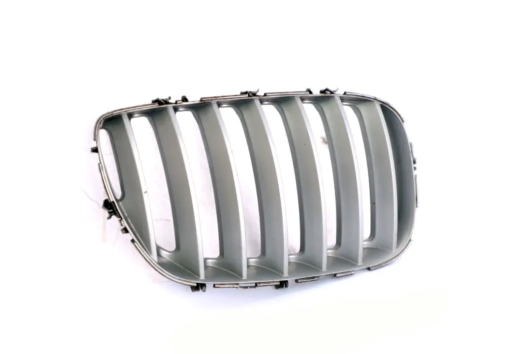 BMW X5 Series E53 Bumper Centre Grille Bonnet Right O/S Titan II Silver - SKU 7124816 - Part number 7124816