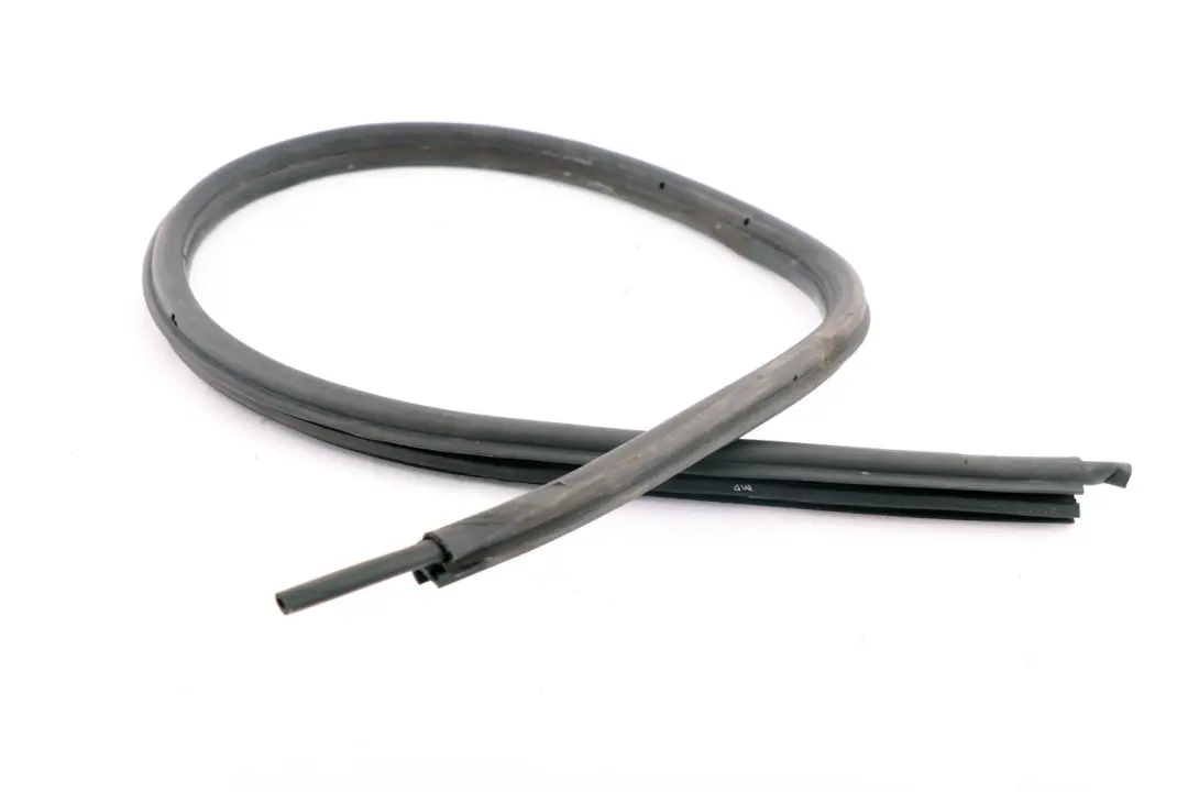 BMW Z4 E85 Junta de protección del borde de la puerta delantera izquierda N/S - SKU 7125651 - Número de pieza 7125651