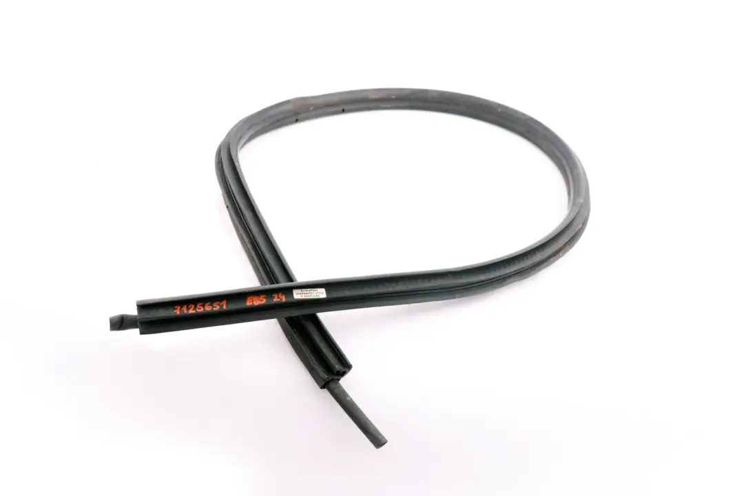 BMW Z4 E85 Guarnizione di protezione bordo porta anteriore sinistra - SKU 7125651 - Numero di parte 7125651