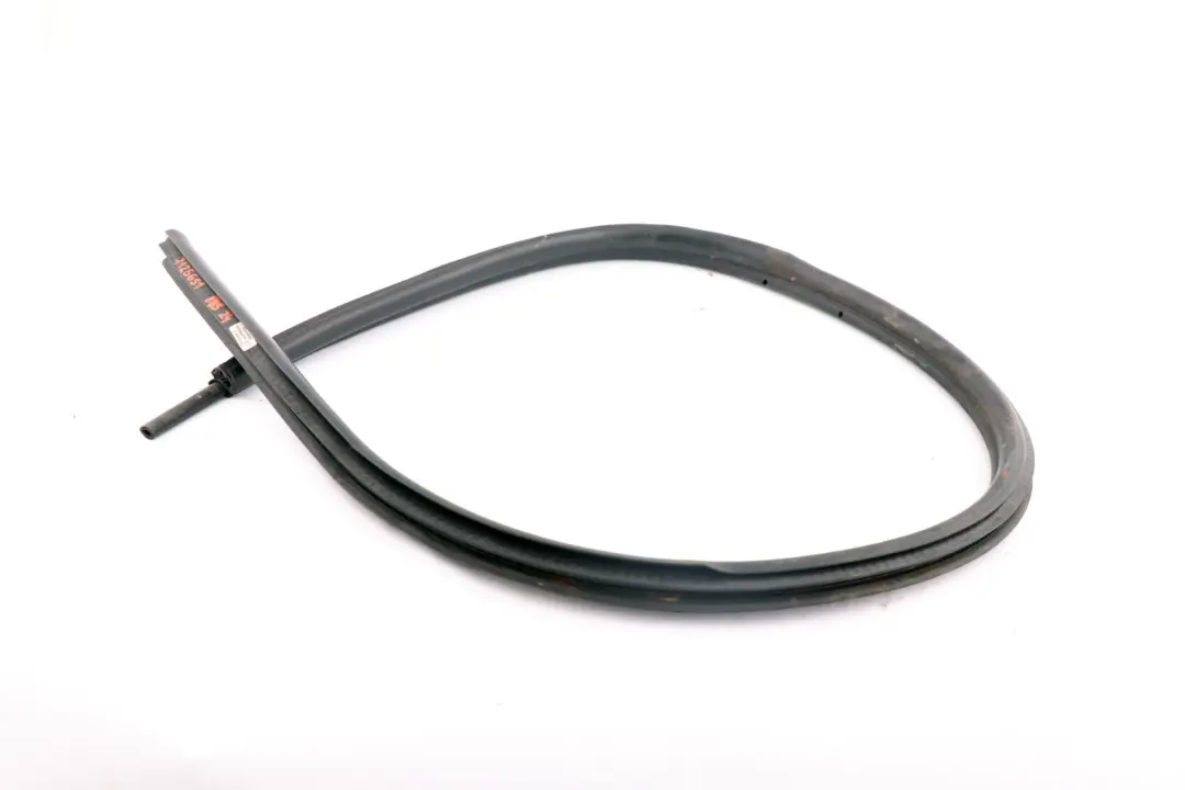 BMW Z4 E85 Guarnizione di protezione bordo porta anteriore sinistra - SKU 7125651 - Numero di parte 7125651