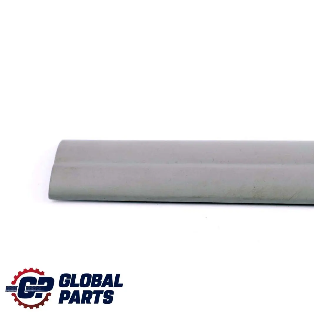 BMW 1 er E87 Abdeckleiste Einstieg Vorne Alaska Grau - SKU 7126293 - Teilenummer 7126293