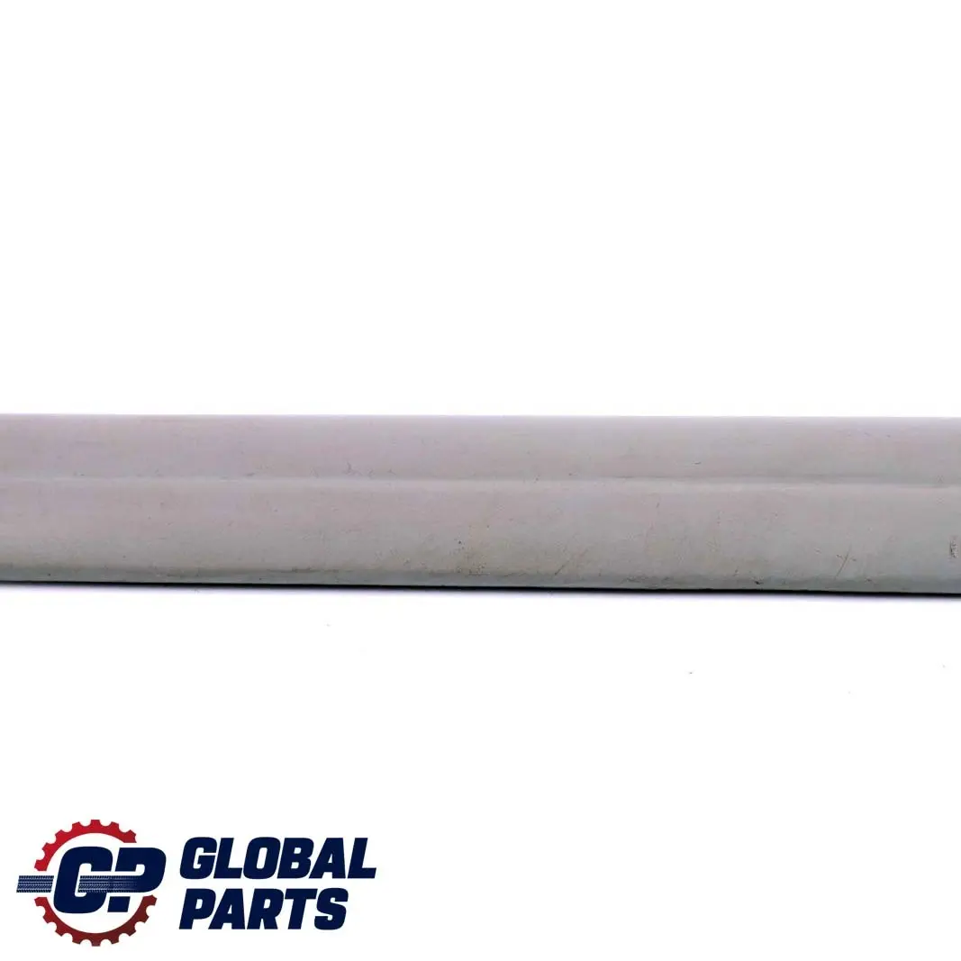 BMW 1 E87 Bande de Couverture Entree Avant Alaska Gris - SKU 7126293 - Numéro de pièce 7126293