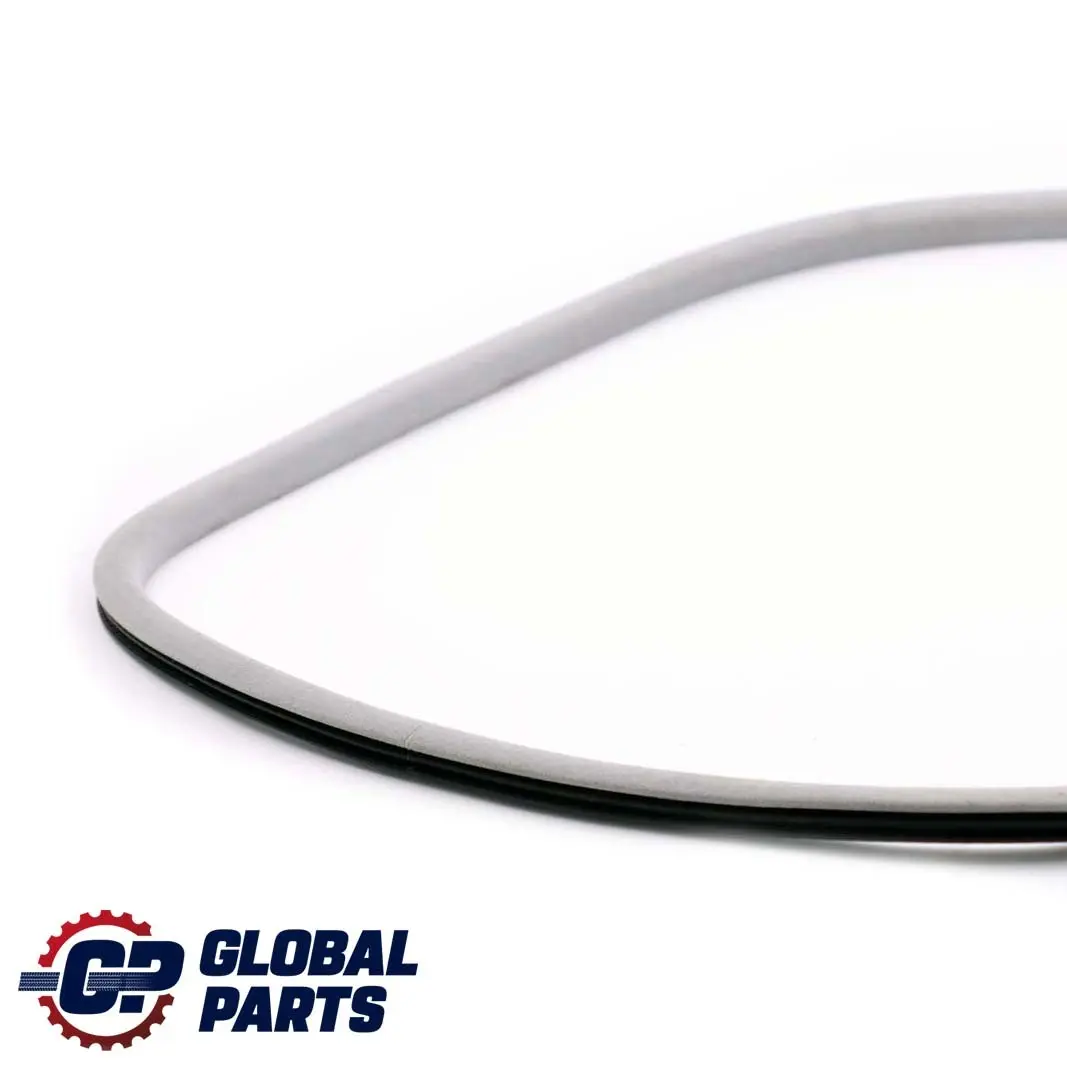 BMW E81 E82 E87 Tubazioni Guarnizione Tetto Apribile Interno Alaska Grigio - SKU 7129878 - Numero di parte 7129878