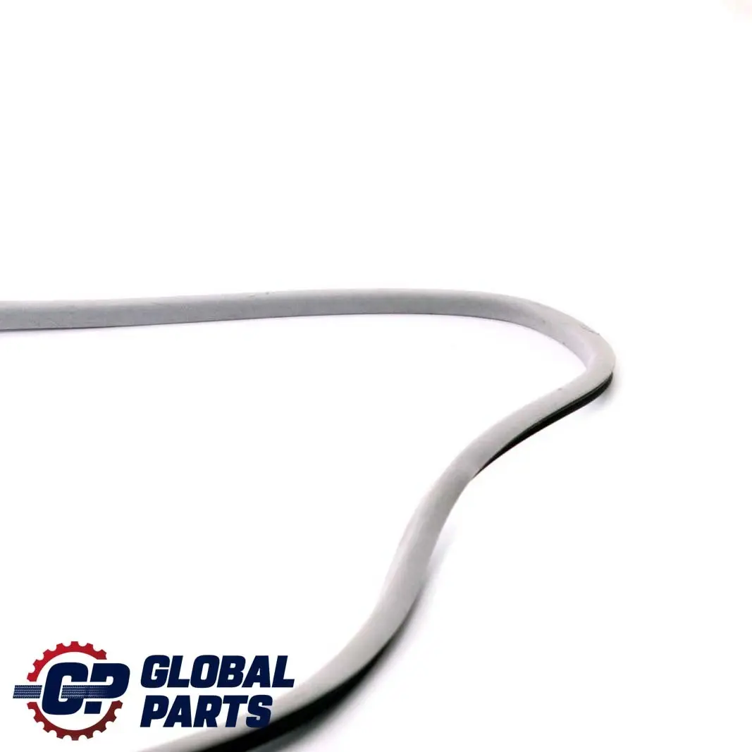 BMW E81 E82 E87 Tubazioni Guarnizione Tetto Apribile Interno Alaska Grigio - SKU 7129878 - Numero di parte 7129878