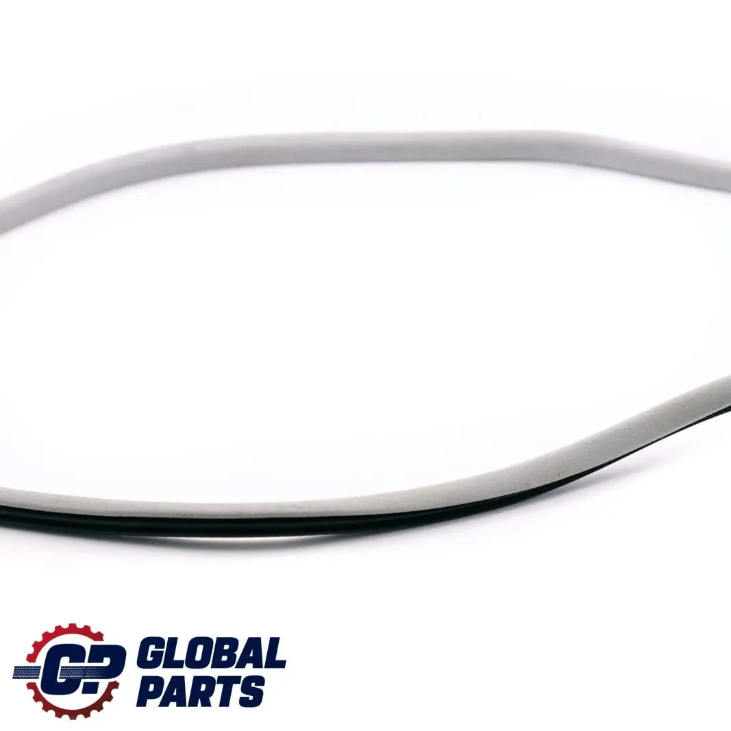 BMW 1 E81 E82 E87 Synthetic Strip Seal Sunroof Interior Alaska Grey - SKU 7129878 - Part number 7129878