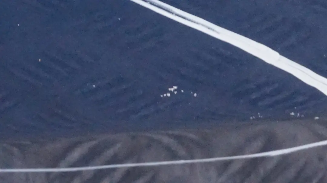 BMW X5 SERIES E53 3 Trunk Lid Bottom Lower Boot Tailgate Topasblau Blue Blau - - SKU 7130827-TPB3 - Part number 41627130827