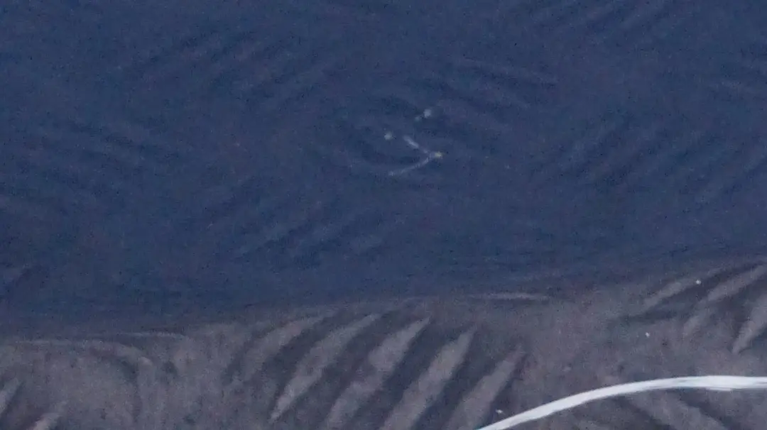 BMW X5 SERIES E53 3 Trunk Lid Bottom Lower Boot Tailgate Topasblau Blue Blau - - SKU 7130827-TPB3 - Part number 41627130827