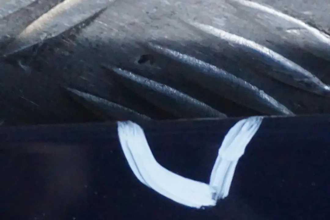 Trunk Lid Tailgate Boot Tiefseeblau Deep Sea Blue A76 to BMW 1 E81 E87 2 with Part number 7133898 BMW 1 E81 E87 2 Trunk Lid Tailgate Boot Tiefseeblau Deep Sea Blue A76 - SKU 7133898-DSB2 - Part number 7133898