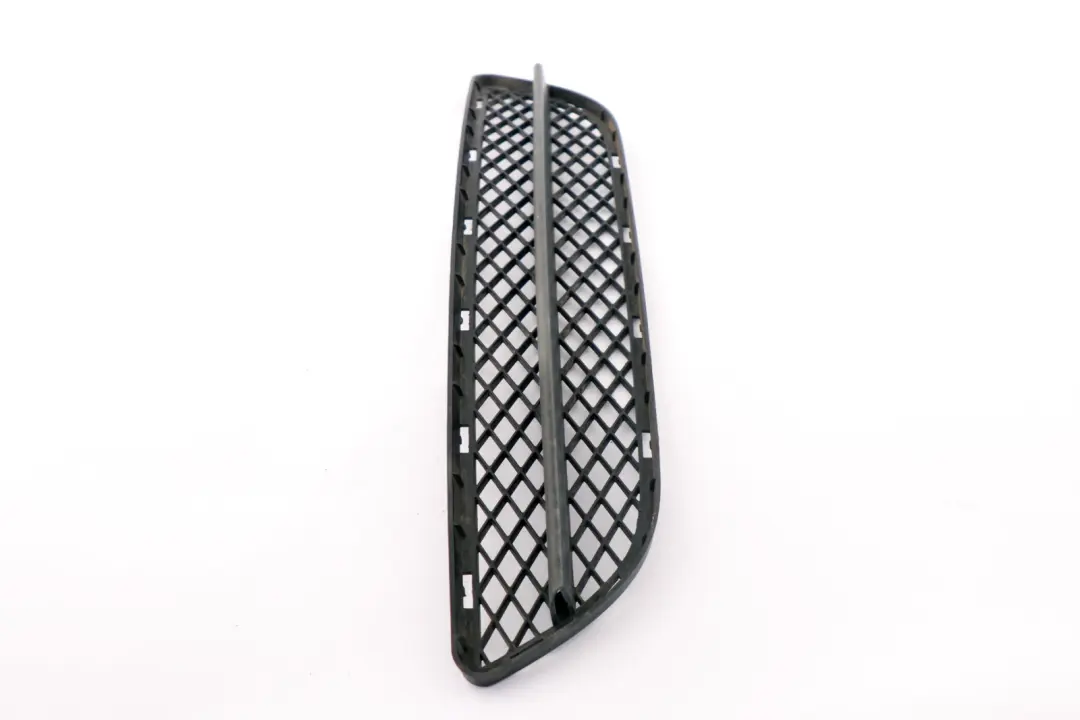 Grille De Pare-Chocs Avant BMW E90 E91 Center Grid  - SKU 7134074-1 - Numéro de pièce 7134074